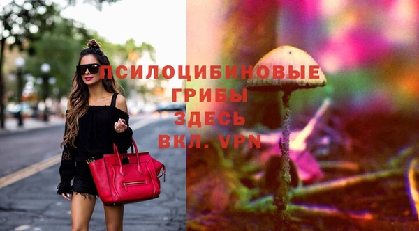 первитин Вяземский