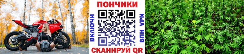 Купить Североморск Марихуана THC 21%